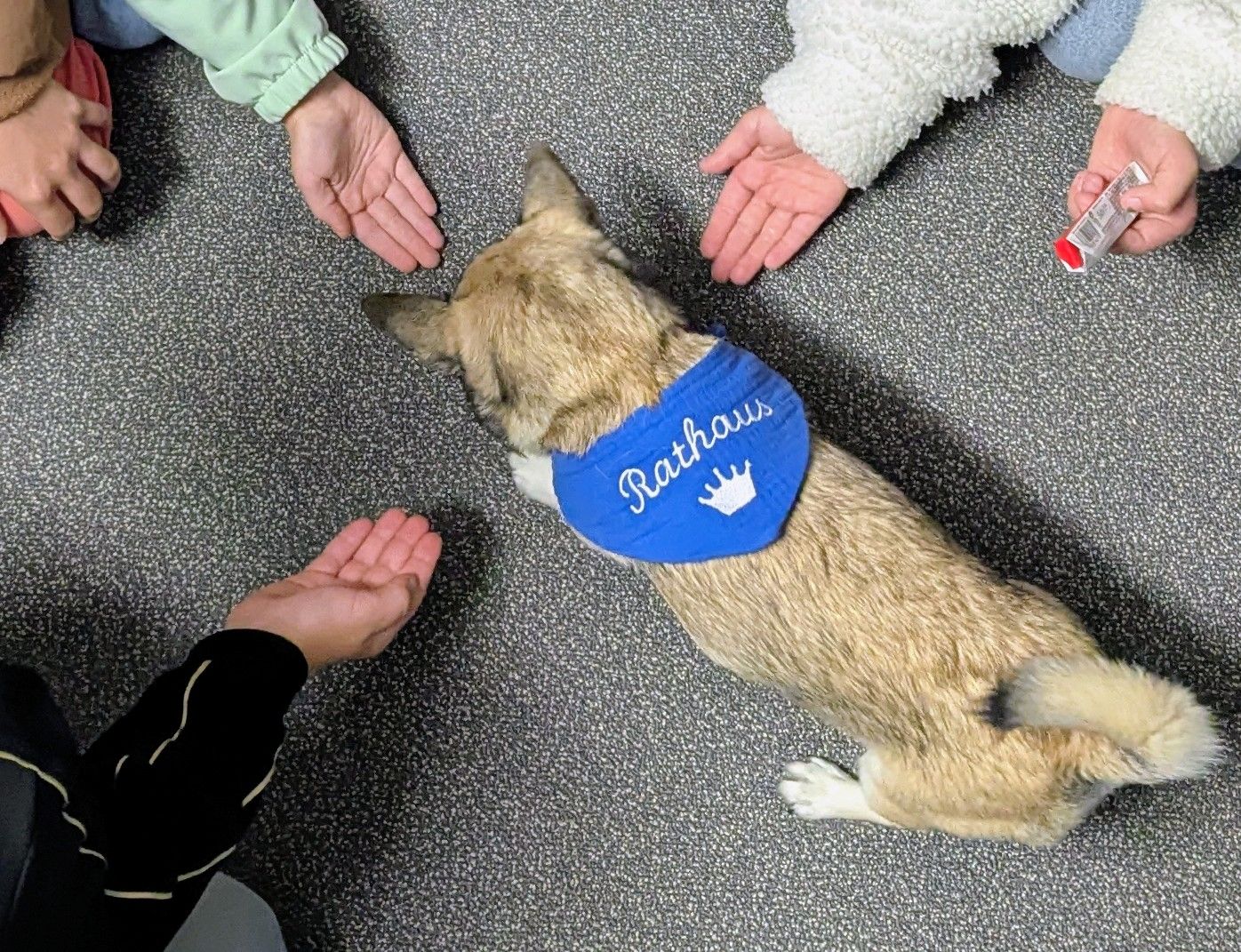 Besuch beim Bürgermeister