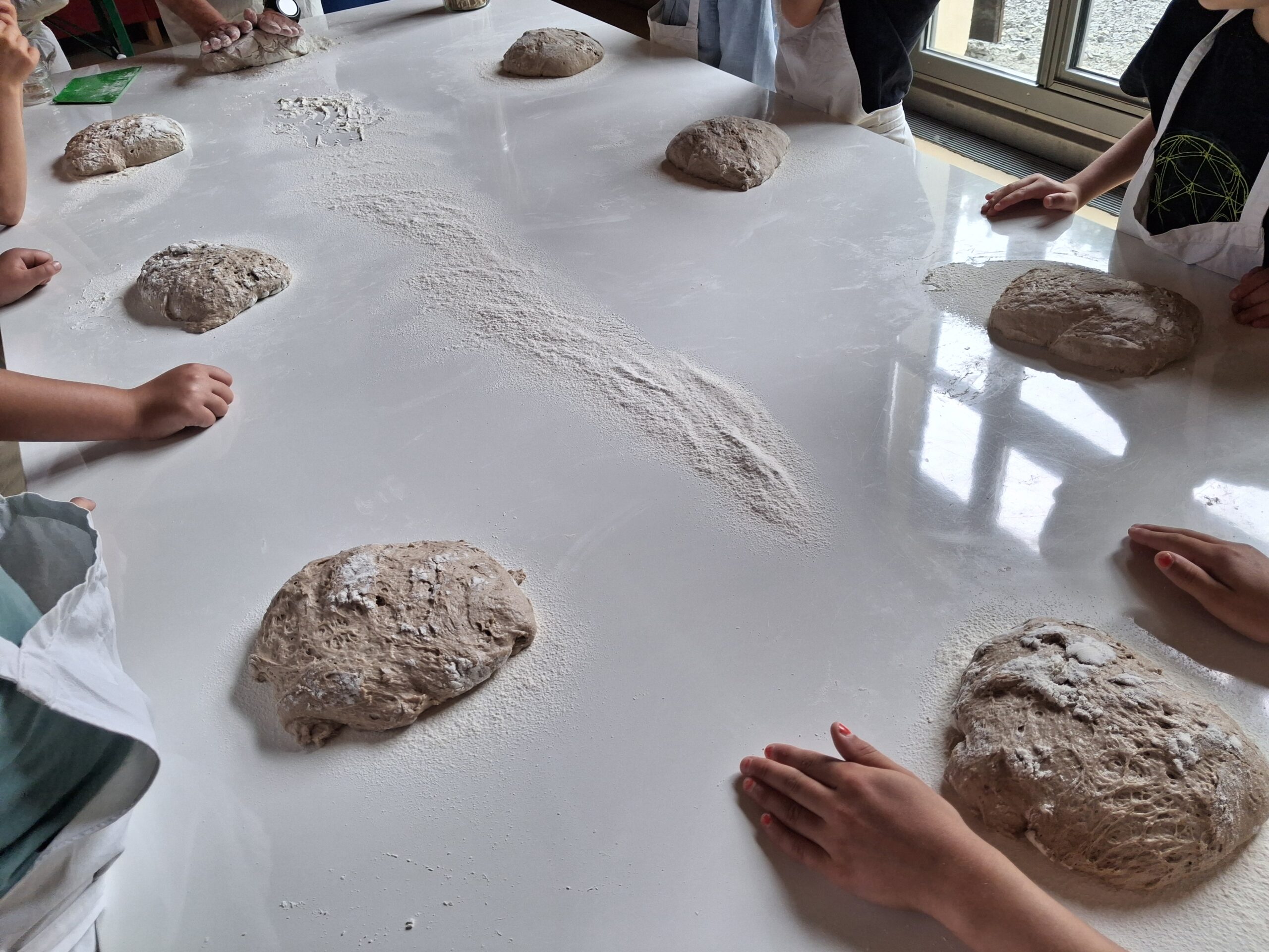 Projekttag Brot backen wie früher