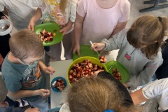 WhatsApp-Image-2025-07-22-at-17.29.10-2