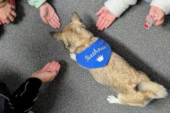 PXL_20251017_074031266.MP2_