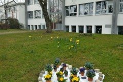 IMG_20220405_142512