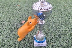Pokal