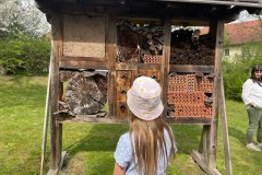 Insektenhaus