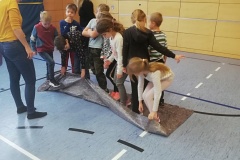 IMG_20221122_102037