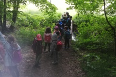 Waldbaden-1