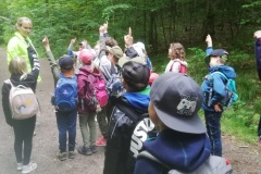 Waldbaden-3