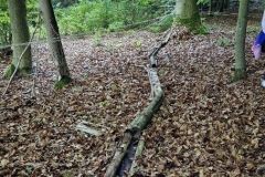 Bild4