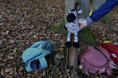 Bild5