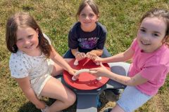 PXL_20250626_084948127