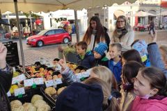 IMG_20221012_090652