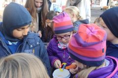 IMG_20221012_091249