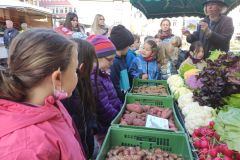 IMG_20221012_094723