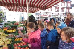 IMG_20221012_163337